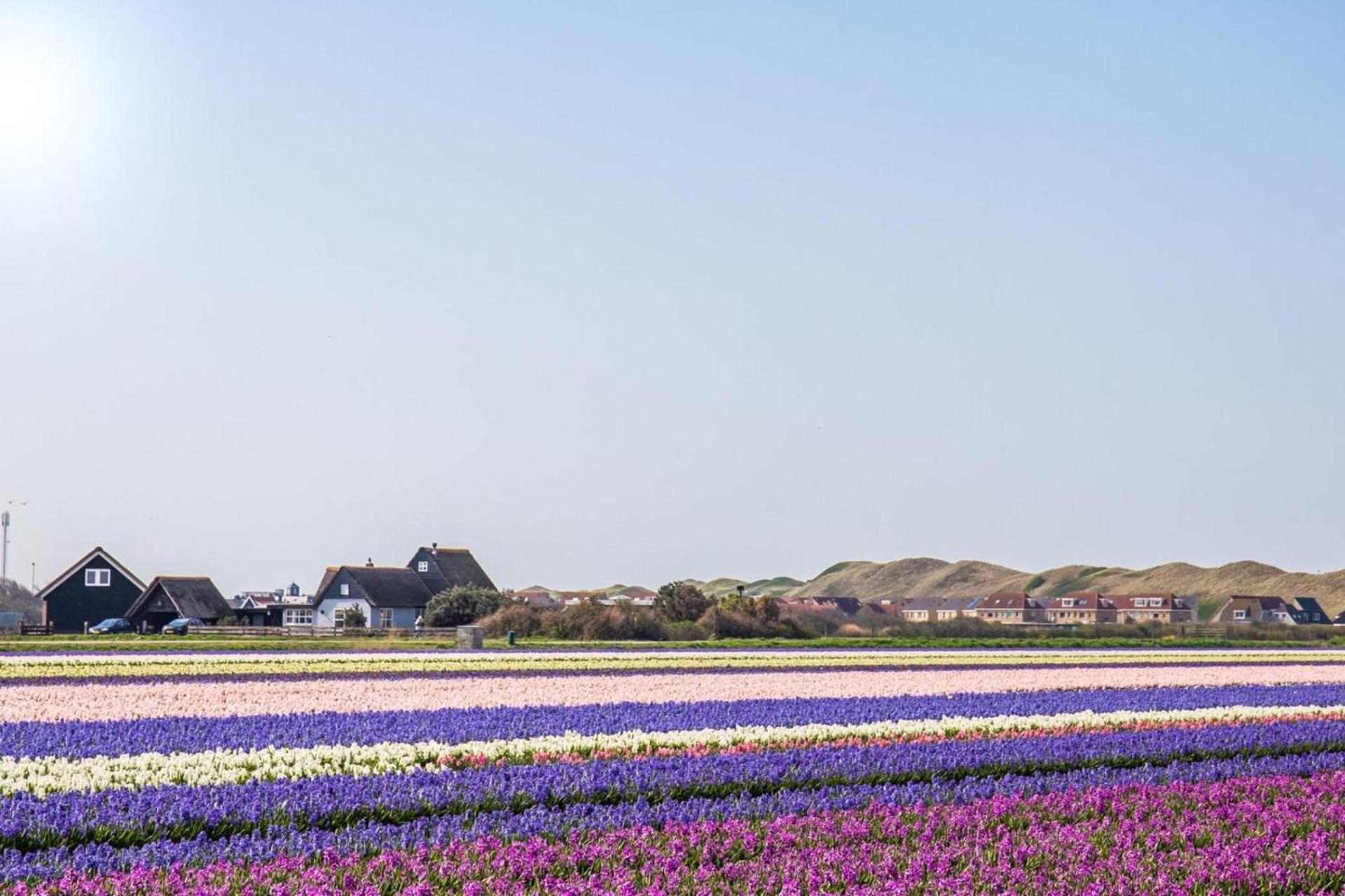 Vakantiehuis Beau - Julianadorp Aan Zee Zewnętrze zdjęcie